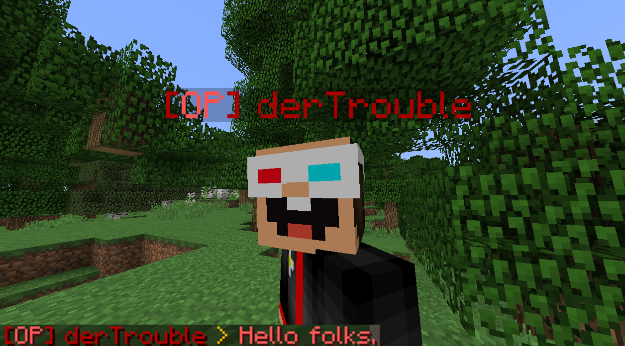 How To Use Nametag On Cat Minecraft