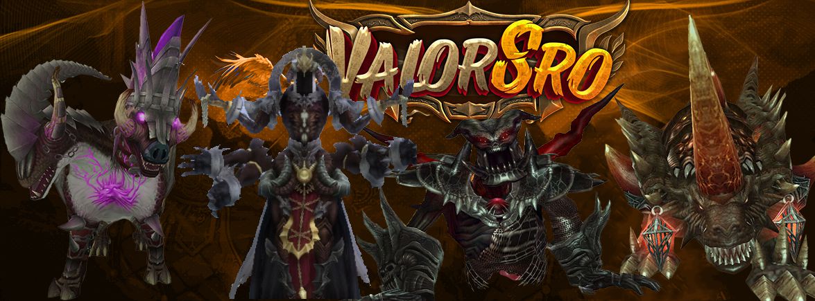 ValorSro Banner