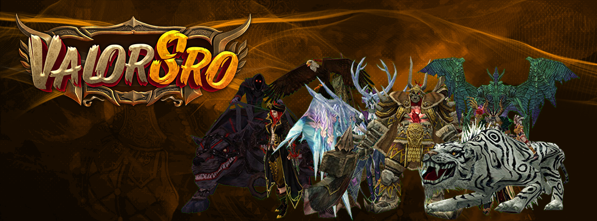 ValorSro Uniques Info