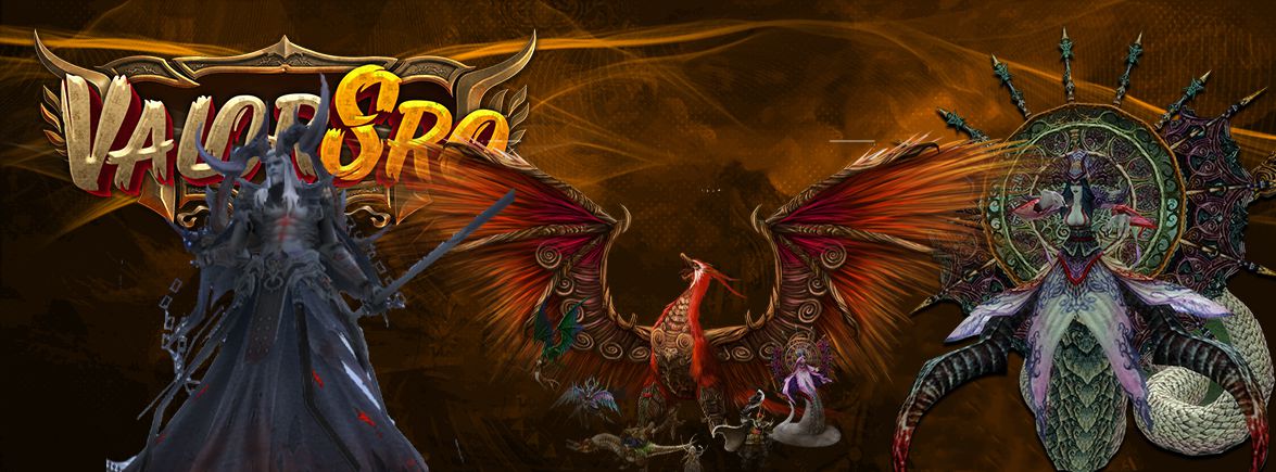 ValorSro Banner