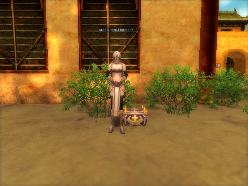 Arena NPC 1